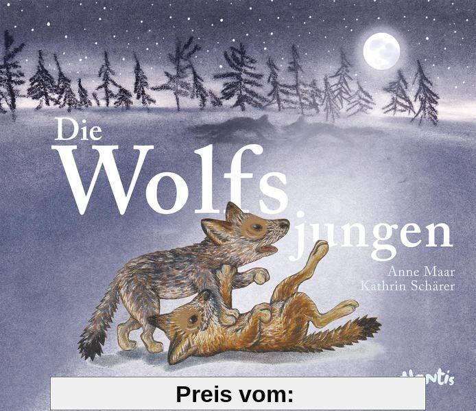 Die Wolfsjungen: Bilderbuch