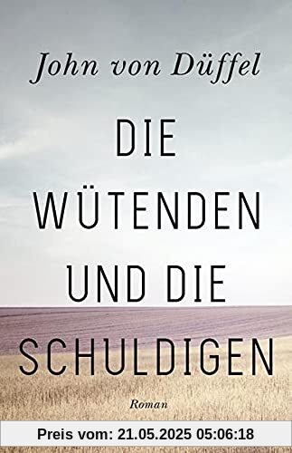 Die Wütenden und die Schuldigen: Roman