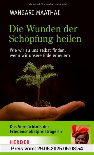 Die Wunden der Schöpfung heilen: Wie wir zu uns selbst finden, wenn wir unsere Erde erneuern