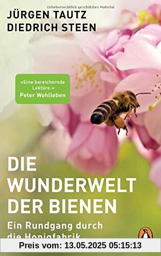 Die Wunderwelt der Bienen: Ein Rundgang durch die Honigfabrik