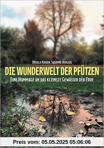 Die Wunderwelt der Pfützen: Eine Hommage an das kleinste Gewässer der Erde