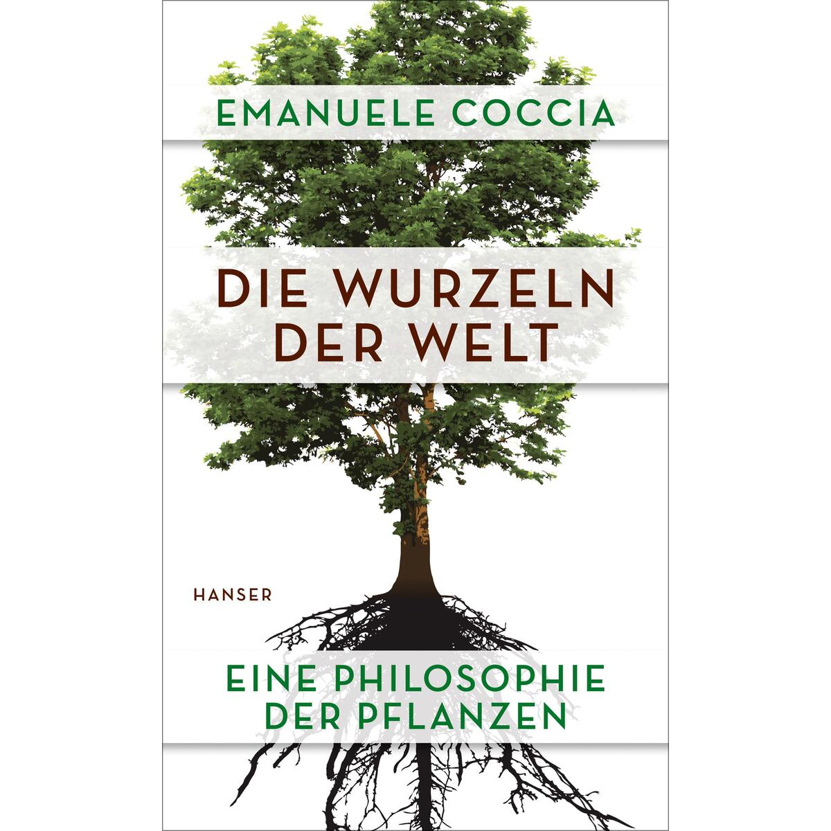 Die Wurzeln der Welt von Carl Hanser Verlag