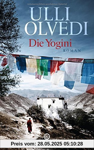 Die Yogini: Roman