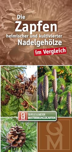 Die Zapfen heimischer und kultivierter Nadelgehölze im Vergleich (Quelle & Meyer Bestimmungskarten)