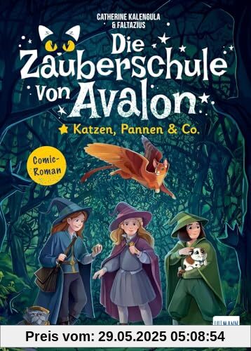 Die Zauberschule von Avalon - Katzen, Pannen & Co.: Eine packende Mischung aus Abenteuerroman und Graphic Novel für Kinder ab 8 Jahren - voller Freundschaft, Abenteuer und Zauberei! Die Zauberschule von Avalon - Katzen, Pannen & Co.: Eine packende Mischung aus Abenteuerroman und Graphic Novel für Kinder ab 8 Jahren - voller Freundschaft, Abenteuer und Zauberei!