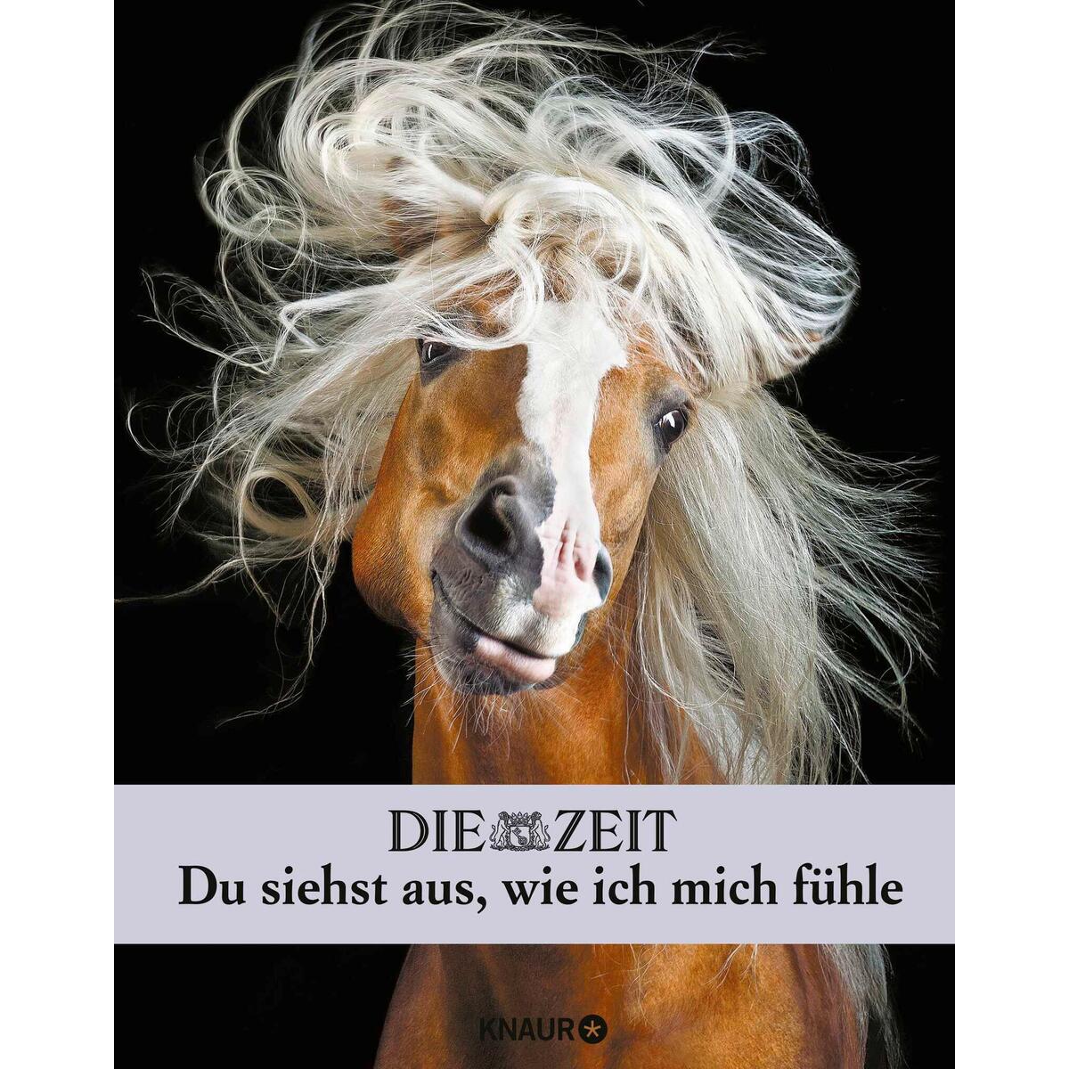 Die Zeit - Du siehst aus, wie ich mich fühle Die Zeit - Du siehst aus, wie ich mich fühle von Knaur HC