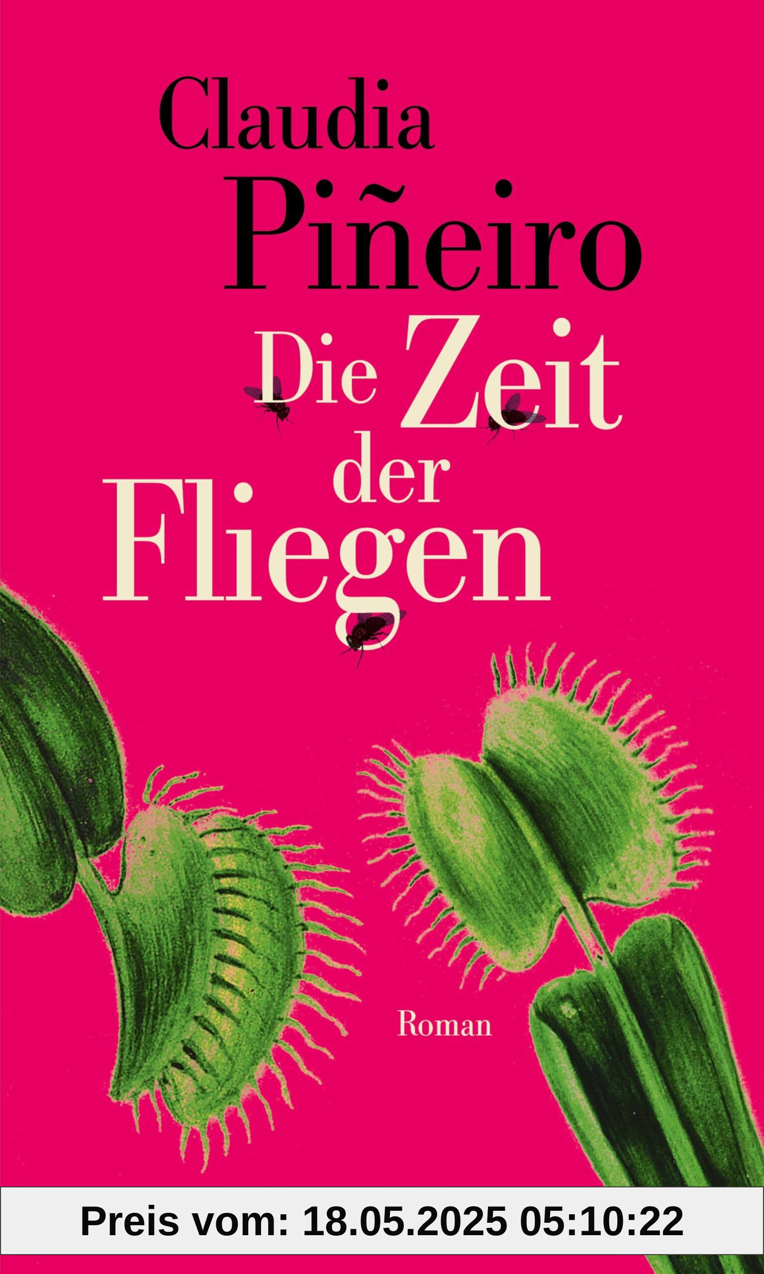 Die Zeit der Fliegen: Roman