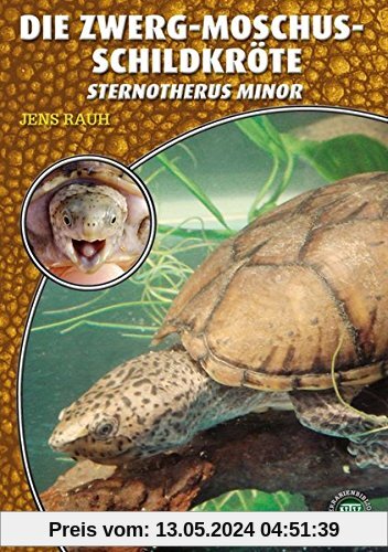 Die Zwerg-Moschusschildkröte: Sternotherus minor (Art für Art)