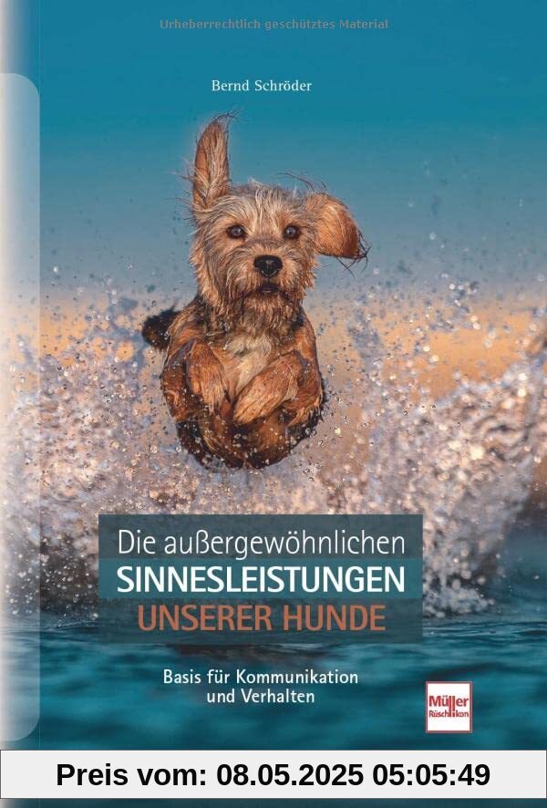 Die außergewöhnlichen Sinnesleistungen unserer Hunde: Basis für Kommunikation und Verhalten