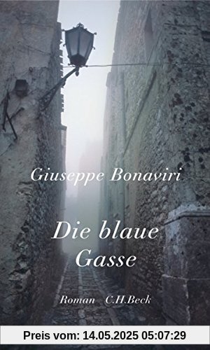 Die blaue Gasse: Roman