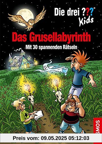 Die drei ??? Kids, Das Grusellabyrinth: 30 spannende Rätsel