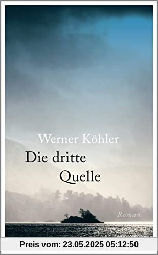 Die dritte Quelle: Roman