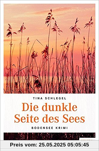 Die dunkle Seite des Sees (Bodensee Krimi)