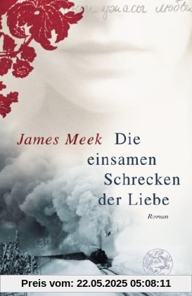 Die einsamen Schrecken der Liebe: Roman