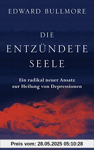 Die entzündete Seele: Ein radikal neuer Ansatz zur Heilung von Depressionen