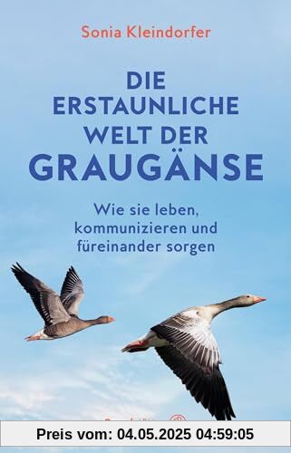 Die erstaunliche Welt der Graugänse: Wie sie leben, kommunizieren und füreinander sorgen