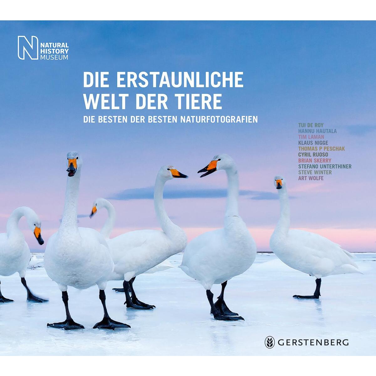 Die erstaunliche Welt der Tiere von Gerstenberg Verlag