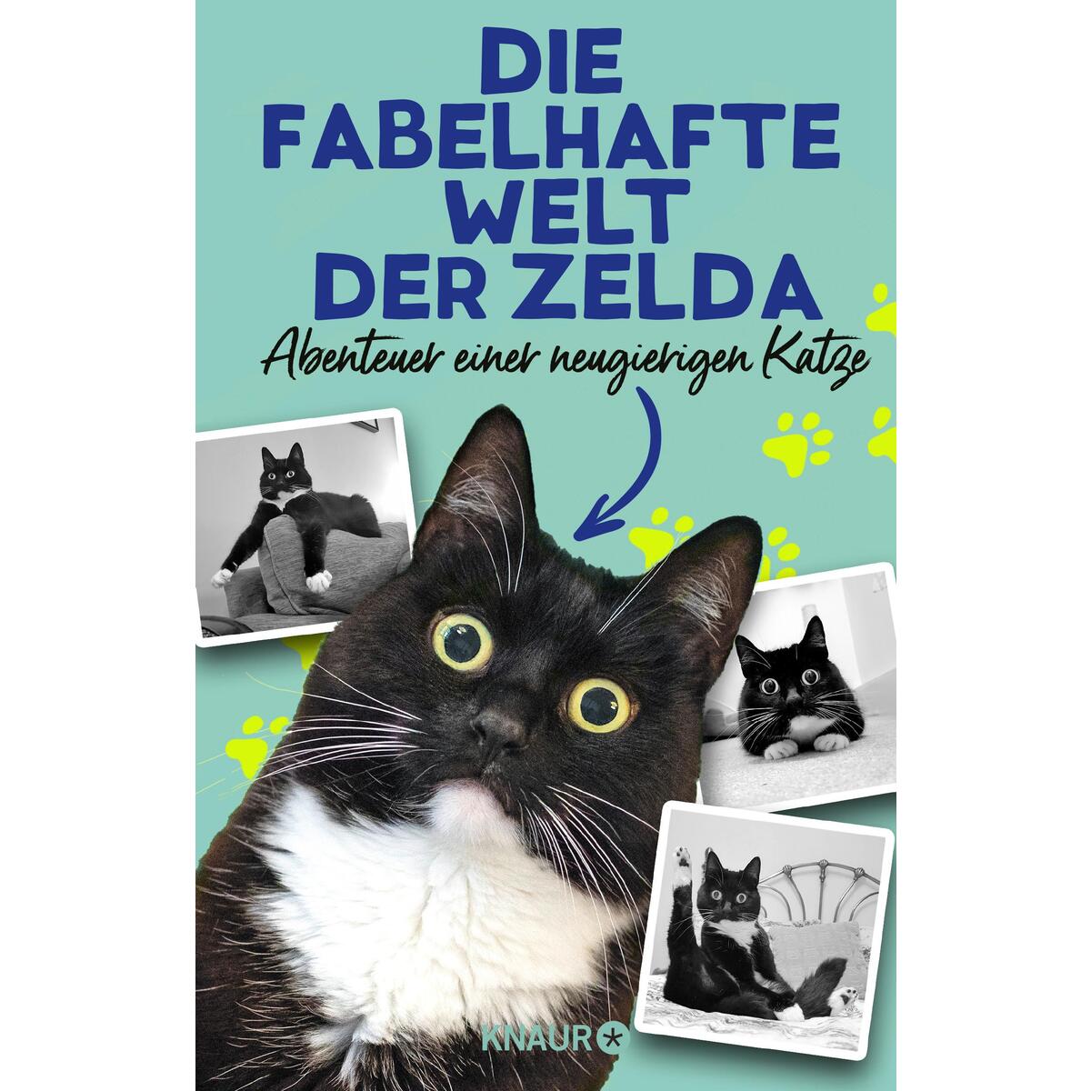 Die fabelhafte Welt der Zelda von Knaur HC