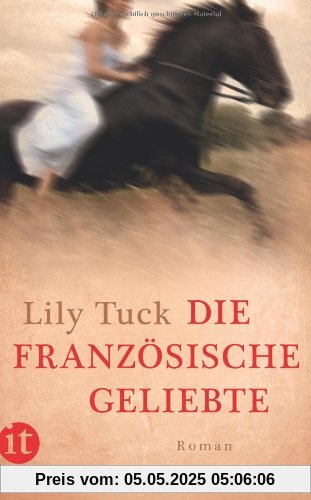 Die französische Geliebte: Eine Geschichte aus Paraguay. Roman (insel taschenbuch)