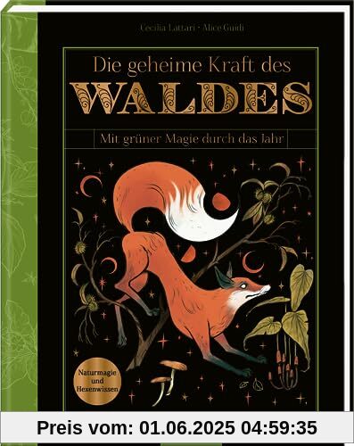 Die geheime Kraft des Waldes: Mit grüner Magie durch das Jahr | Naturmagie und Hexenwissen für alle, die den Wald lieben Die geheime Kraft des Waldes: Mit grüner Magie durch das Jahr | Naturmagie und Hexenwissen für alle, die den Wald lieben