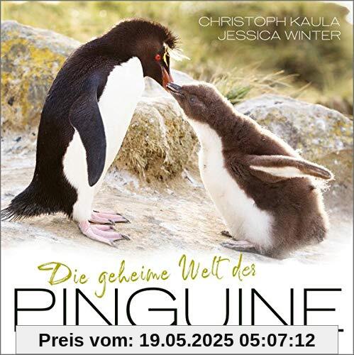 Die geheime Welt der Pinguine