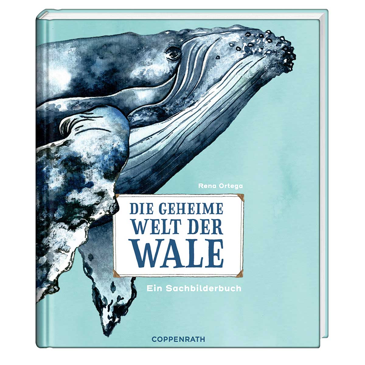 Die geheime Welt der Wale von Coppenrath F