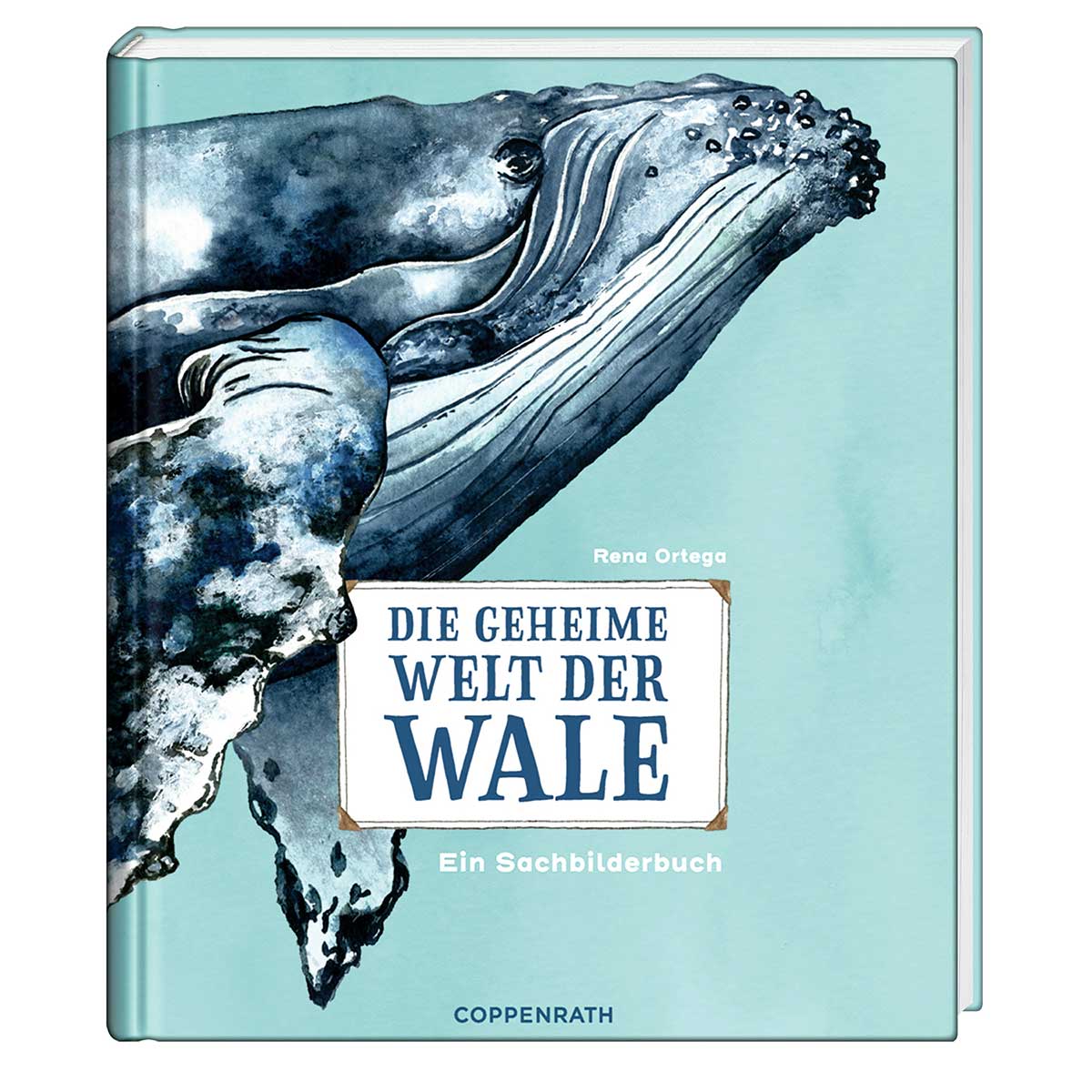 Die geheime Welt der Wale von Coppenrath