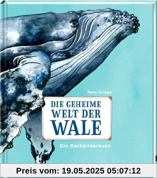 Die geheime Welt der Wale: Ein Sachbilderbuch