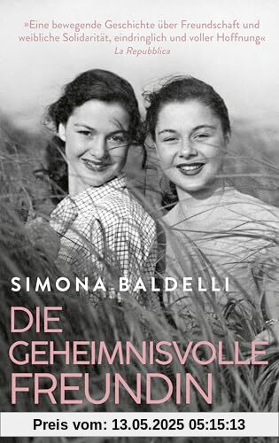 Die geheimnisvolle Freundin: Roman