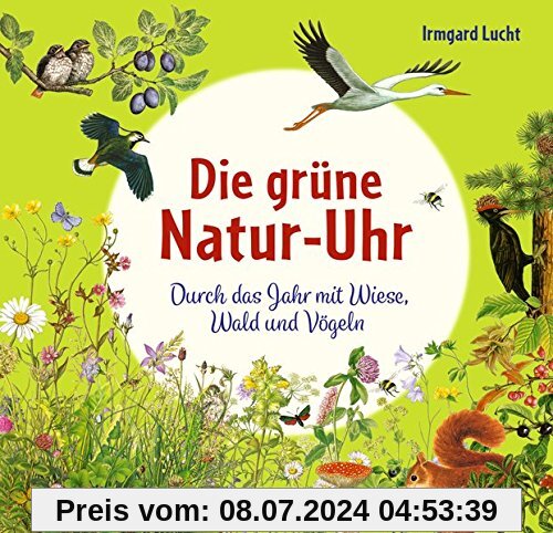 Die grüne Natur-Uhr: Durch das Jahr mit Wiese, Wald und Vögeln