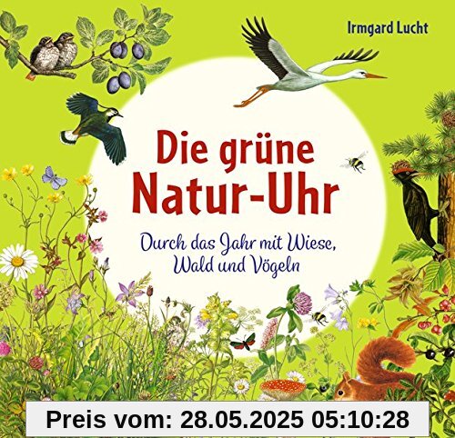 Die grüne Natur-Uhr: Durch das Jahr mit Wiese, Wald und Vögeln