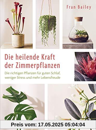 Die heilende Kraft der Zimmerpflanzen: Die richtigen Pflanzen für guten Schlaf, weniger Stress und mehr Lebensfreude - für frische Luft, eine schnelle ... Kopf, mehr Aufmerksamkeit und Mitgefühl