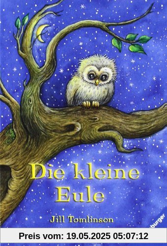 Die kleine Eule