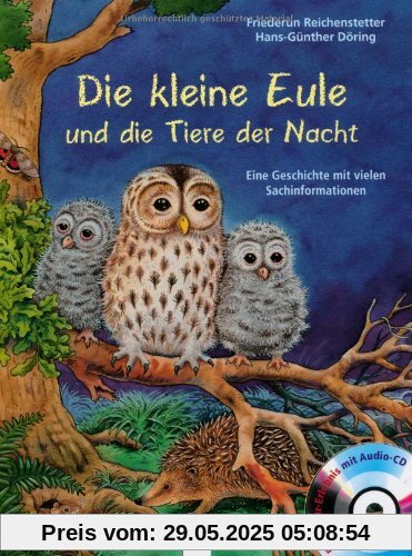 Die kleine Eule und die Tiere der Nacht: Eine Geschichte mit vielen Sachinformationen Die kleine Eule und die Tiere der Nacht: Eine Geschichte mit vielen Sachinformationen