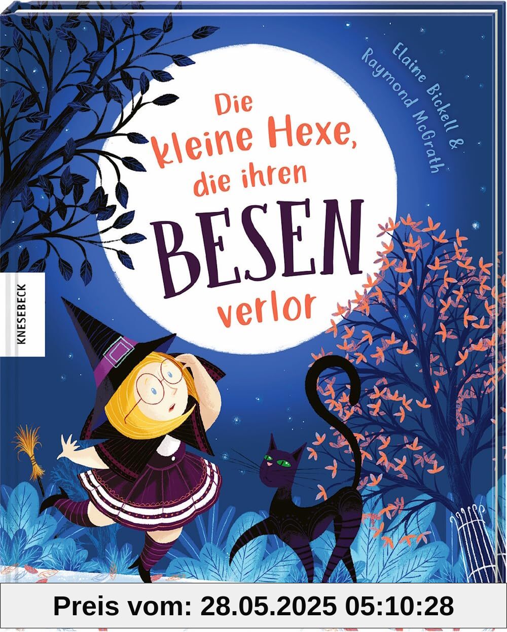 Die kleine Hexe, die ihren Besen verlor
