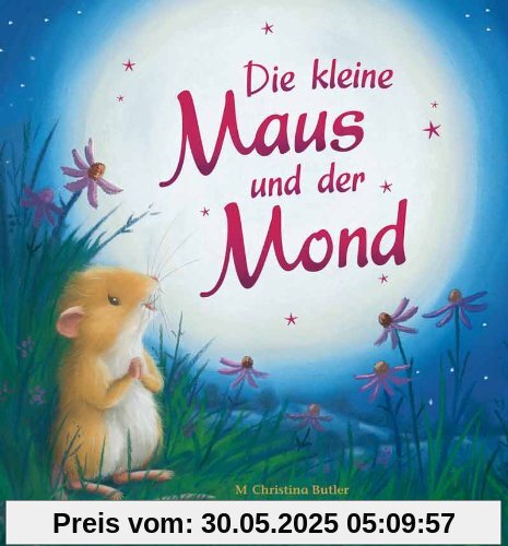 Die kleine Maus und der Mond