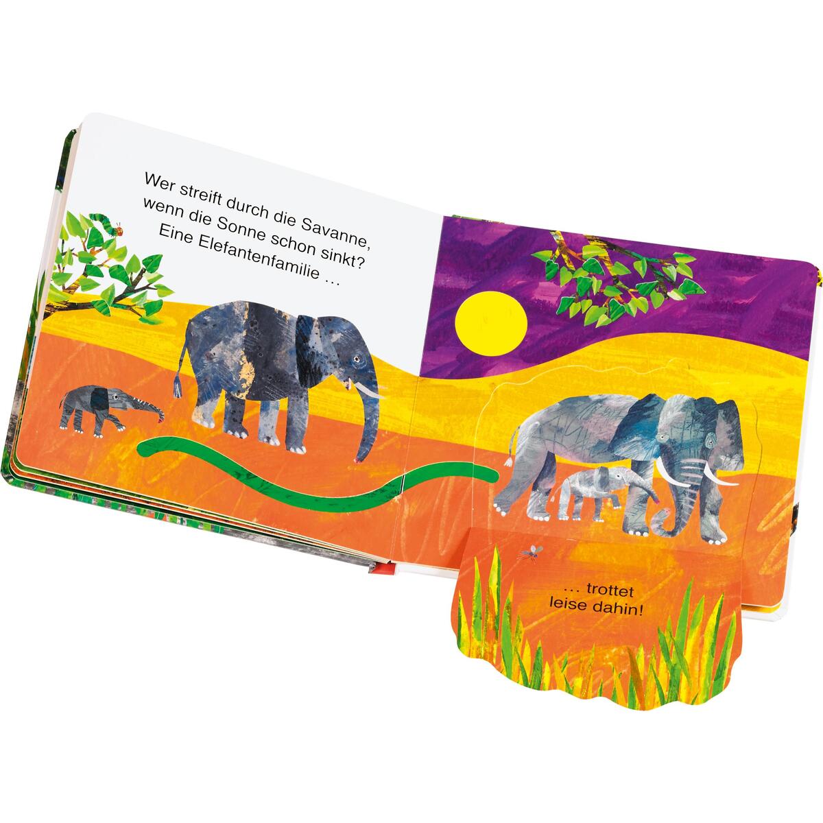 Die kleine Raupe Nimmersatt - Wo verstecken sich die wilden Tiere? Die kleine Raupe Nimmersatt - Wo verstecken sich die wilden Tiere? von Gerstenberg Verlag