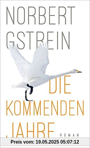 Die kommenden Jahre: Roman