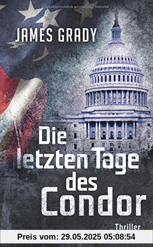 Die letzten Tage des Condor: Thriller (suhrkamp taschenbuch)