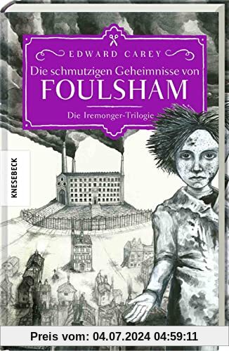 Die schmutzigen Geheimnisse von Foulsham: Die Iremonger-Trilogie: Band 2