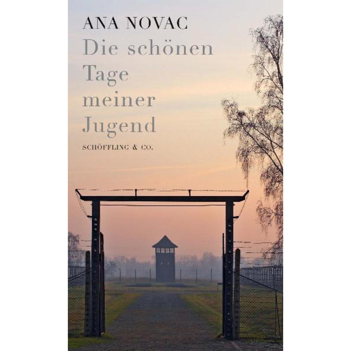 Die schönen Tage meiner Jugend von Schoeffling + Co.