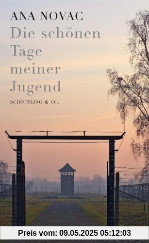 Die schönen Tage meiner Jugend