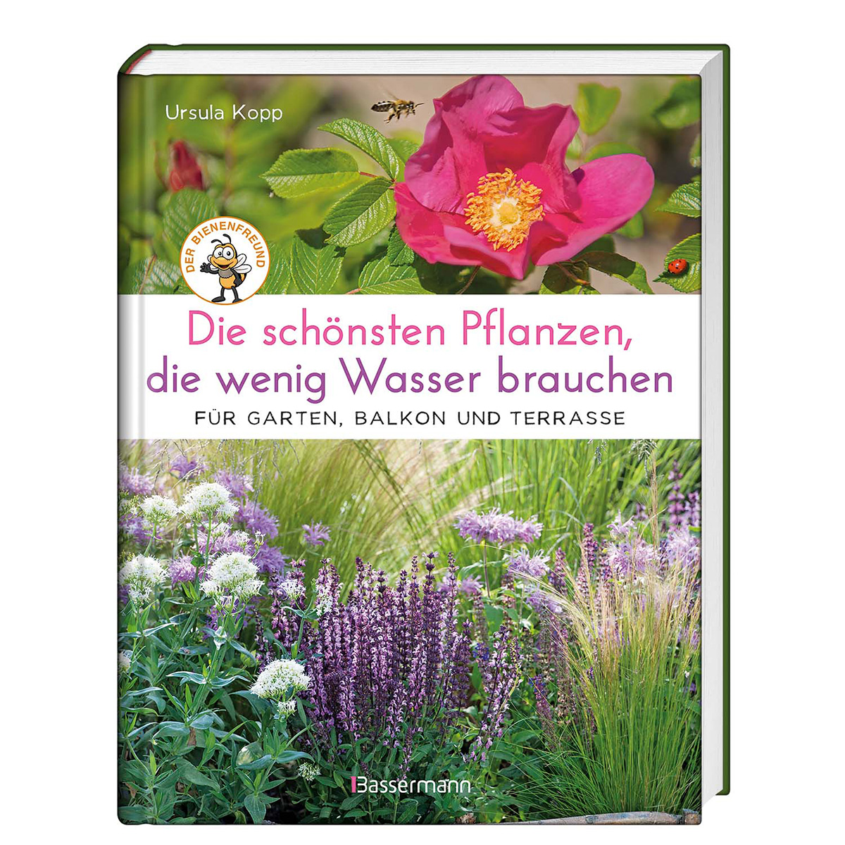 Die schönsten Pflanzen, die wenig Wasser brauchen Die schönsten Pflanzen, die wenig Wasser brauchen von Bassermann Verlag