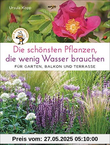 Die schönsten Pflanzen, die wenig Wasser brauchen für Garten, Balkon und Terrasse - 66 trockenheitsverträgliche Stauden, Sträucher, Gräser und Blumen, die heiße Sommer garantiert überleben