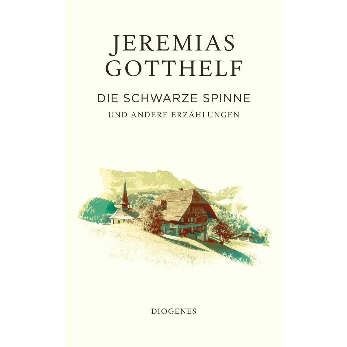 Die schwarze Spinne von Diogenes Verlag AG