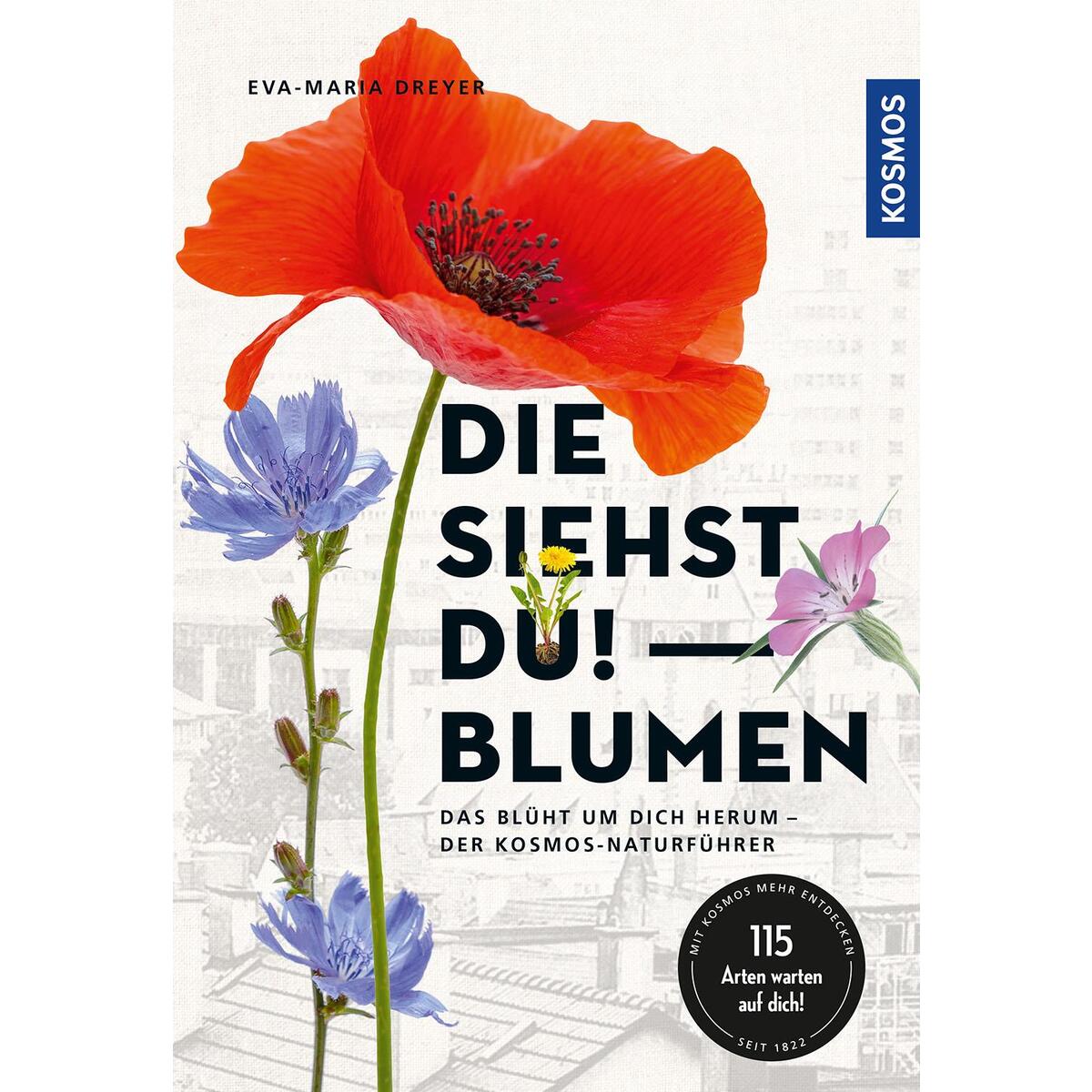 Die siehst du - Blumen von Franckh-Kosmos