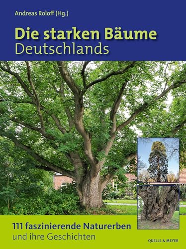 Die starken Bäume Deutschlands: 111 faszinierende Naturerben und ihre Geschichten von Quelle + Meyer