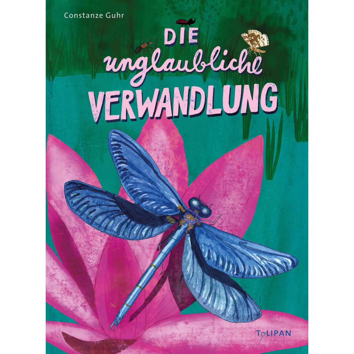 Die unglaubliche Verwandlung von Tulipan Verlag