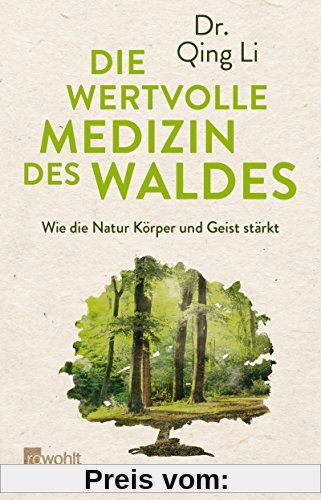 Die wertvolle Medizin des Waldes: Wie die Natur Körper und Geist stärkt