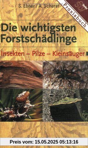 Die wichtigsten Forstschädlinge: Insekten - Pilze - Kleinsäuger